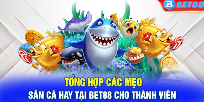 Tổng hợp các mẹo săn cá hay tại BET88 cho thành viên 